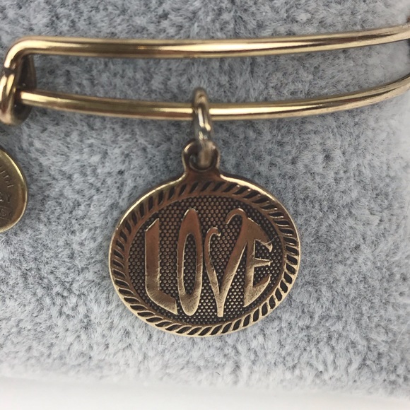 Alex & Ani Love Bracelet 2014 Gold-Tone - Picture 4 of 7